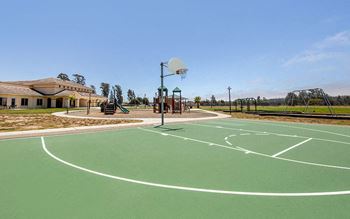 Basketball courts